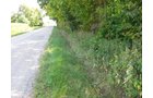 Property photo 2 - 40 Acres Offered in 3 Tracts